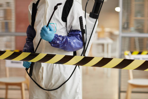 Professional Blood Cleanup technician working in Ivanhoe, TX